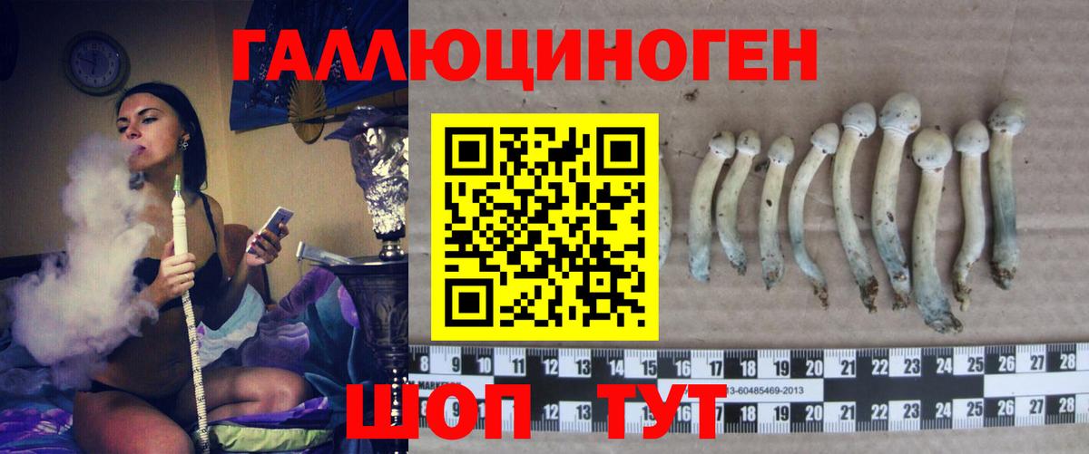 Псилоцибиновые грибы прущие грибы  Вход с VPN  Междуреченск 